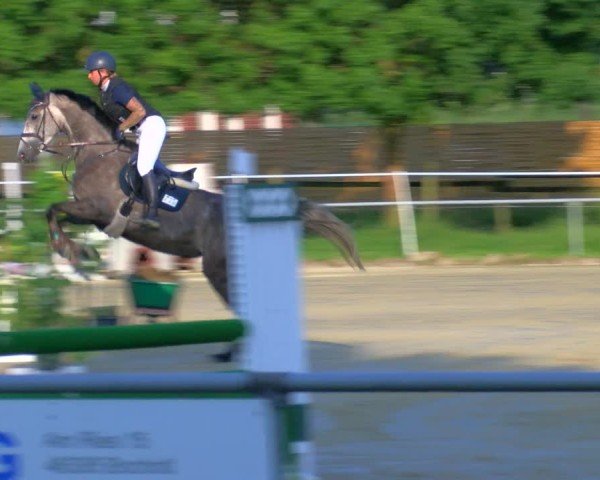 Reitturnier Coesfeld/Lette 2025