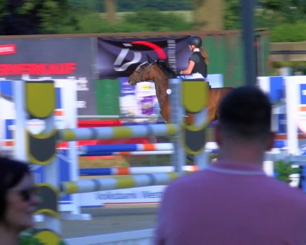 Reitturnier Coesfeld/Lette 2025
