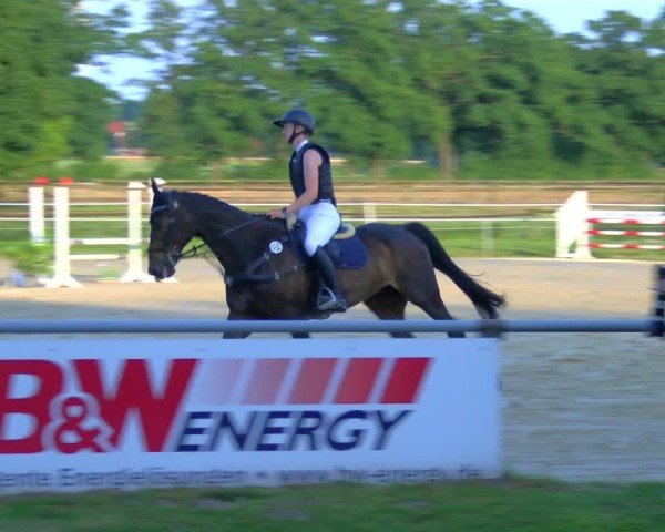 Reitturnier Coesfeld/Lette 2025