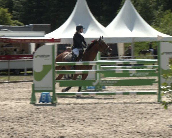 Reitturnier Großenwiehe 2025