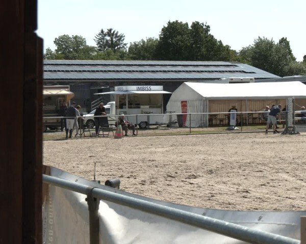 Reitturnier Großenwiehe 2025