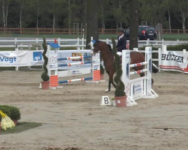 Reitturnier Werne-Lenklar 2014