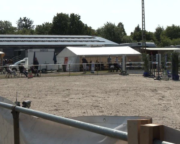 Reitturnier Großenwiehe 2025
