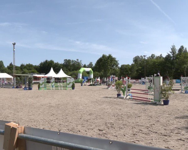 Reitturnier Großenwiehe 2025