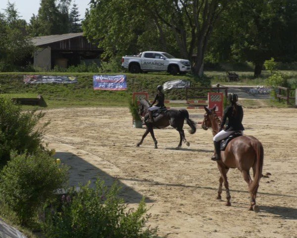 Reitturnier Schönfeld 2025