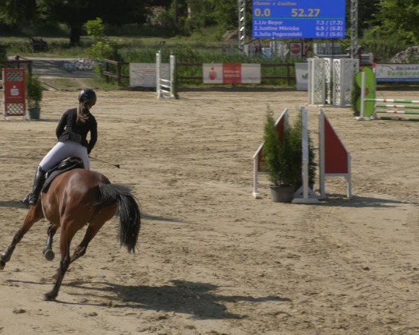 Reitturnier Schönfeld 2025