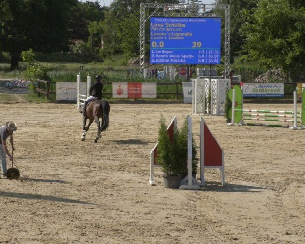 Reitturnier Schönfeld 2025
