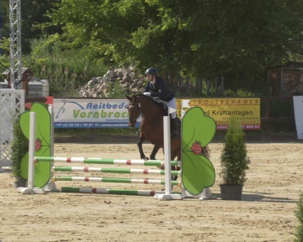 Reitturnier Schönfeld 2025