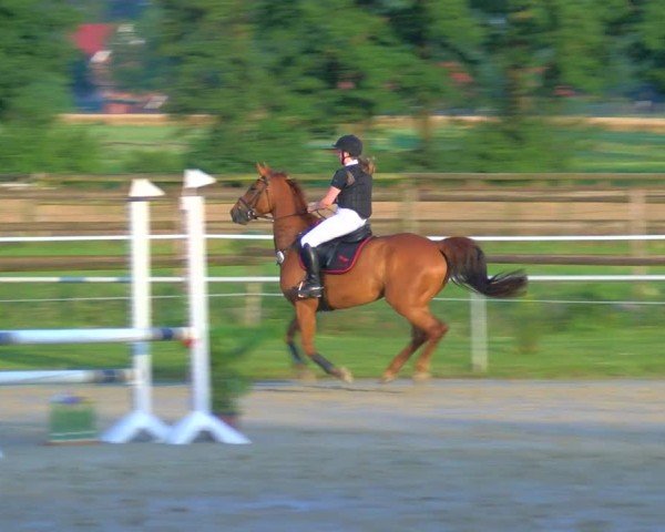 Reitturnier Coesfeld/Lette 2025