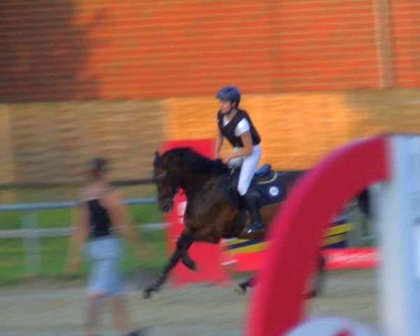 Reitturnier Coesfeld/Lette 2025
