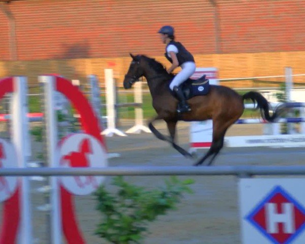 Reitturnier Coesfeld/Lette 2025