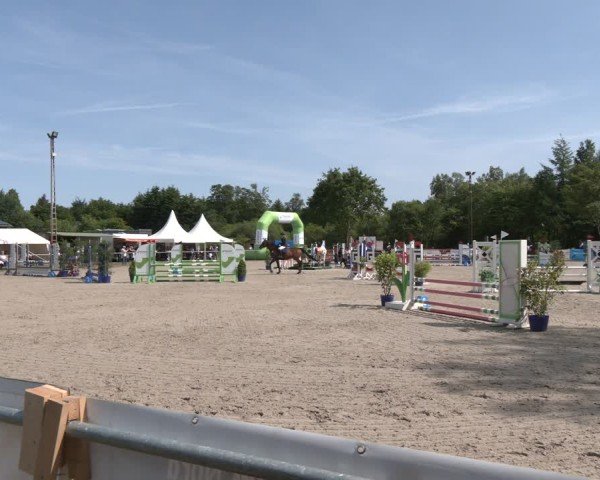 Reitturnier Großenwiehe 2025