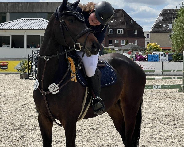 jumper Madrid 22 (Holsteiner, 2019, from Central Park 6)