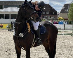 jumper Madrid 22 (Holsteiner, 2019, from Central Park 6)