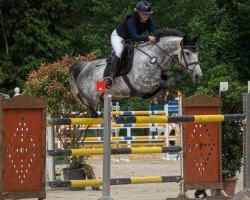 Springpferd Glasgow's Emy (Deutsches Sportpferd, 2018, von Glasgow van het Merelsnest)