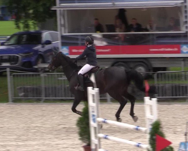 Reitturnier Fehraltorf 2025