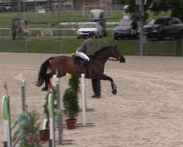 Reitturnier Fehraltorf 2025