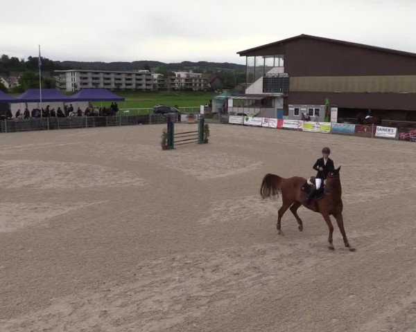 Reitturnier Fehraltorf 2025