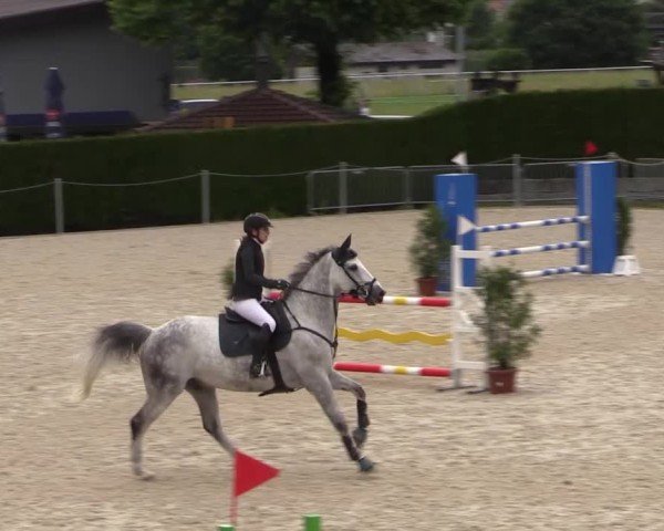 Reitturnier Fehraltorf 2025