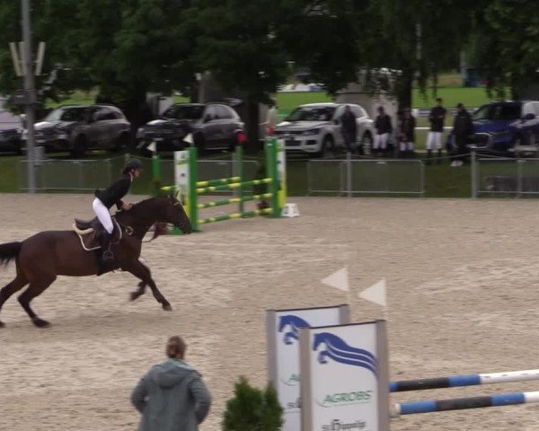 Reitturnier Fehraltorf 2025