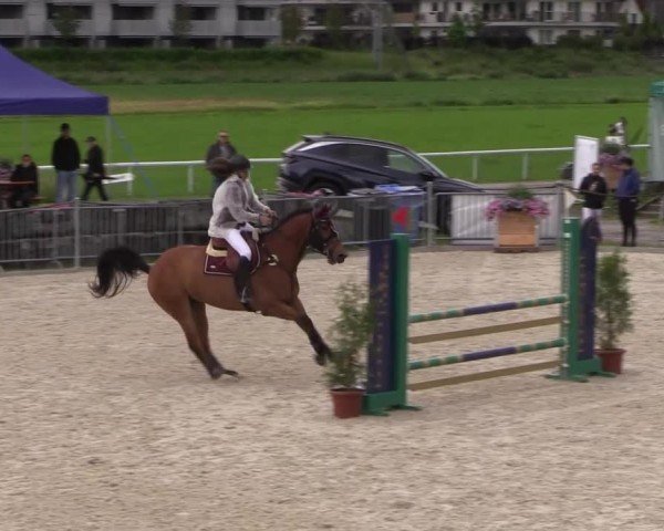Reitturnier Fehraltorf 2025