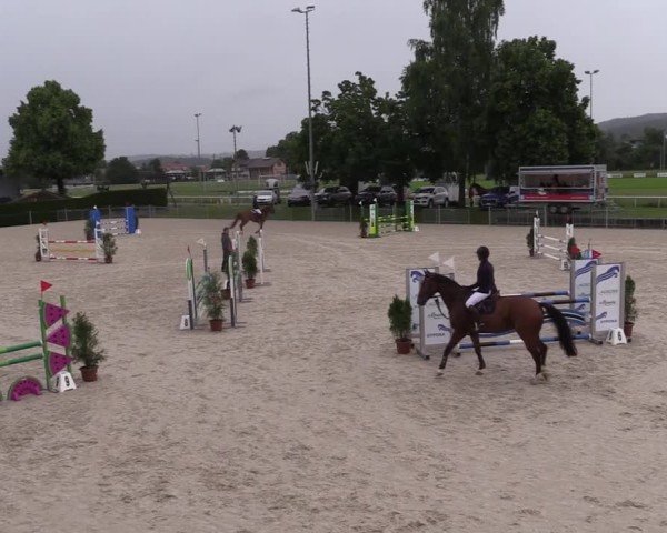 Reitturnier Fehraltorf 2025
