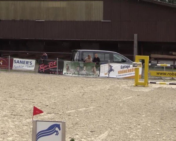 Reitturnier Fehraltorf 2025