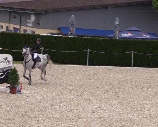Reitturnier Fehraltorf 2025