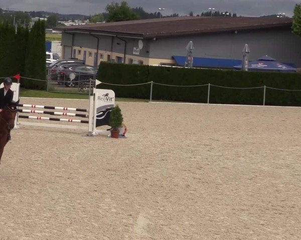 Reitturnier Fehraltorf 2025