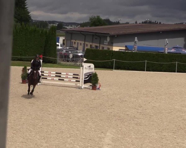 Reitturnier Fehraltorf 2025