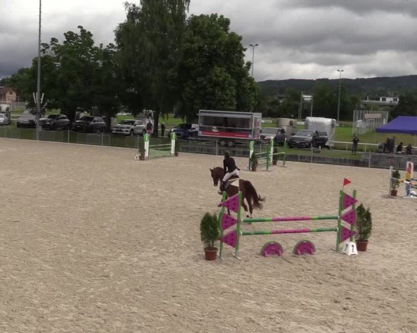 Reitturnier Fehraltorf 2025