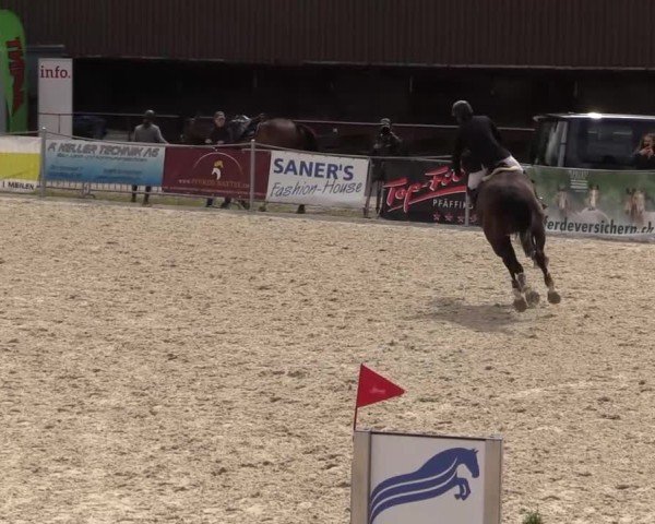 Reitturnier Fehraltorf 2025