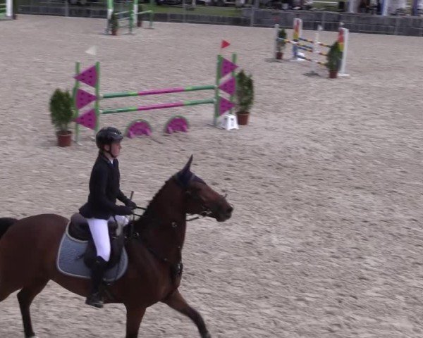 Reitturnier Fehraltorf 2025