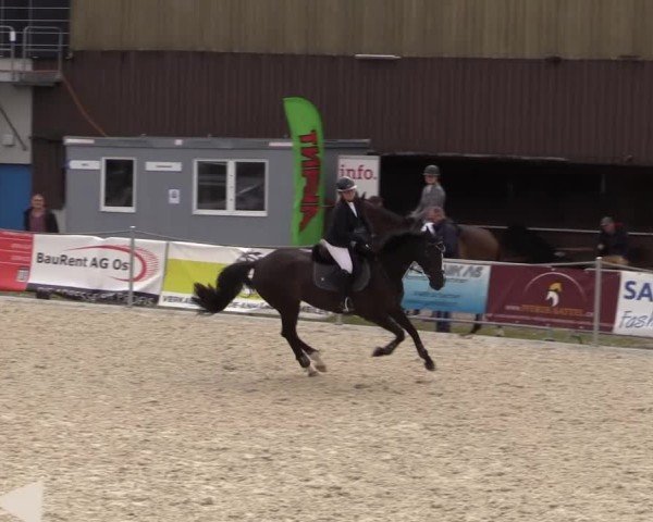 Reitturnier Fehraltorf 2025