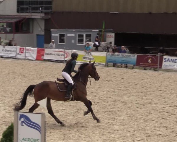 Reitturnier Fehraltorf 2025
