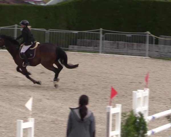 Reitturnier Fehraltorf 2025