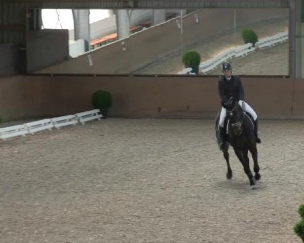 Bonn - Gut Ettenhausen 2014