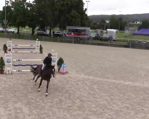 Reitturnier Fehraltorf 2025