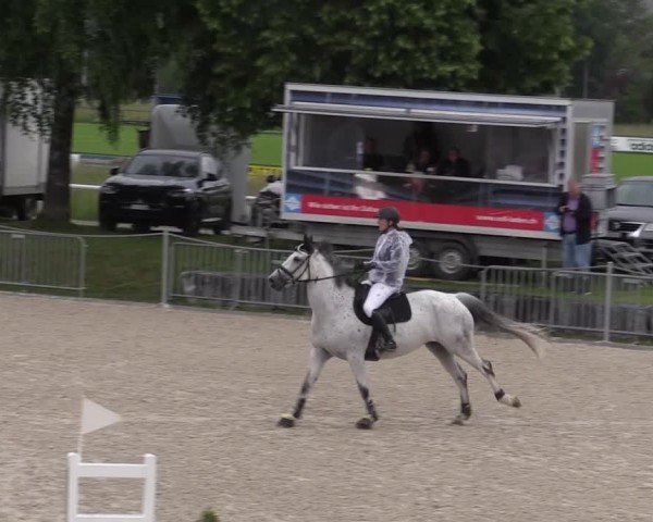 Reitturnier Fehraltorf 2025