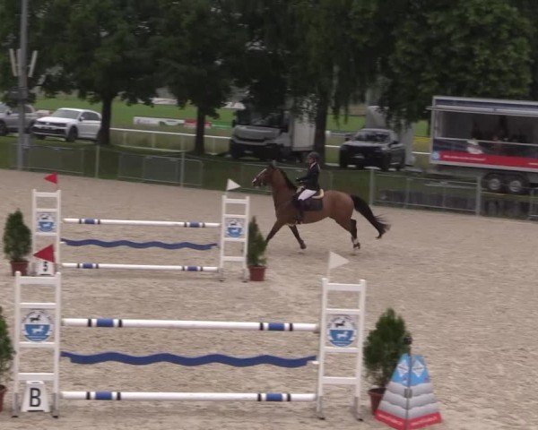 Reitturnier Fehraltorf 2025
