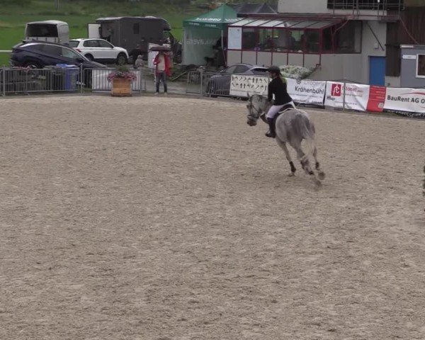 Reitturnier Fehraltorf 2025