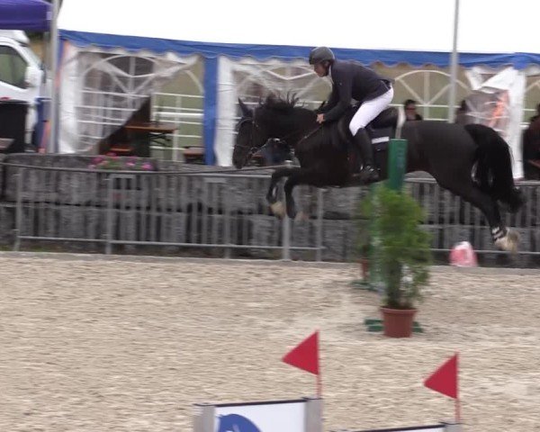 Reitturnier Fehraltorf 2025