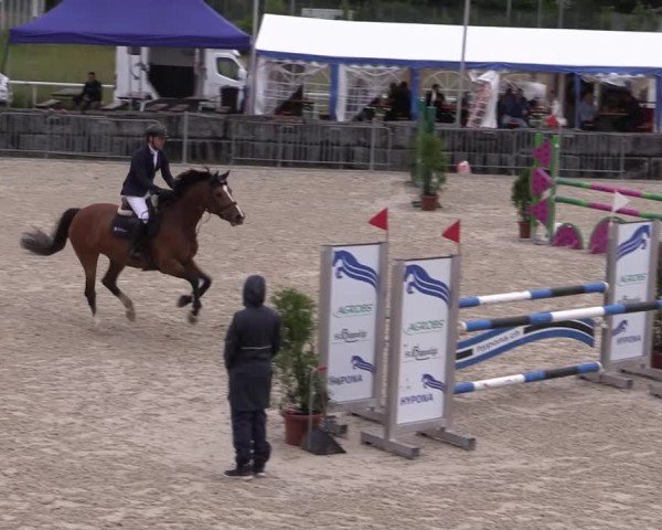 Reitturnier Fehraltorf 2025