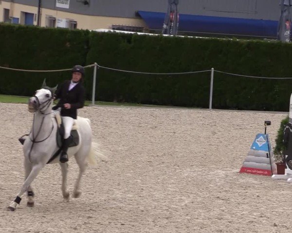 Reitturnier Fehraltorf 2025