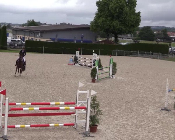 Reitturnier Fehraltorf 2025