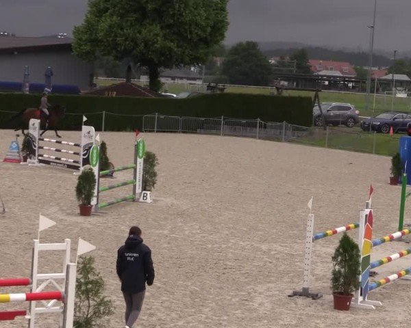 Reitturnier Fehraltorf 2025