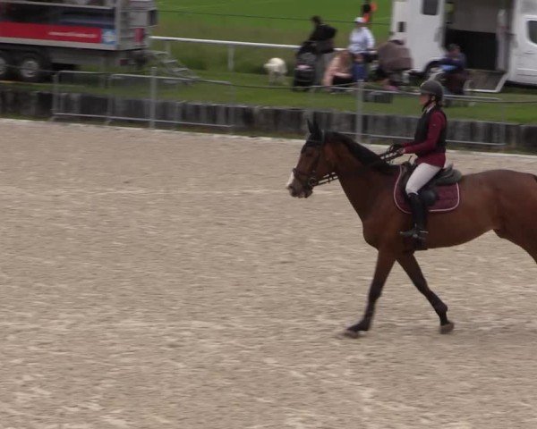 Reitturnier Fehraltorf 2025