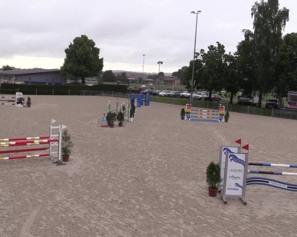Reitturnier Fehraltorf 2025