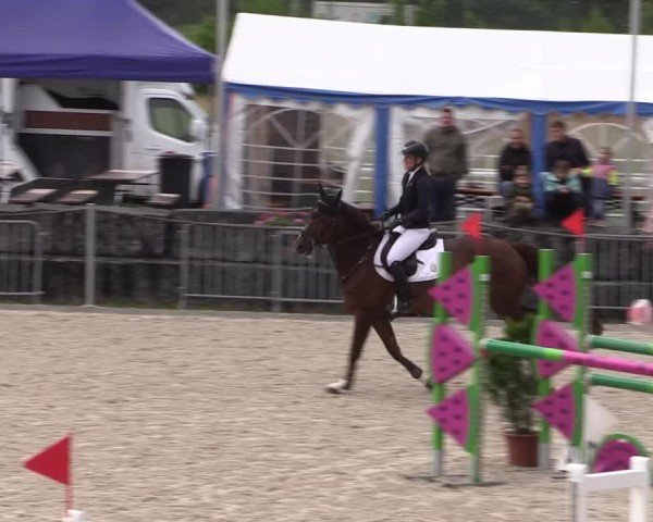 Reitturnier Fehraltorf 2025