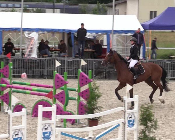 Reitturnier Fehraltorf 2025